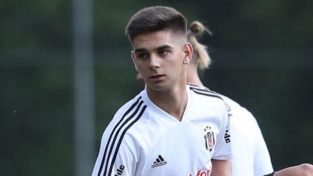 Ajdin Hasic Kimdir?
