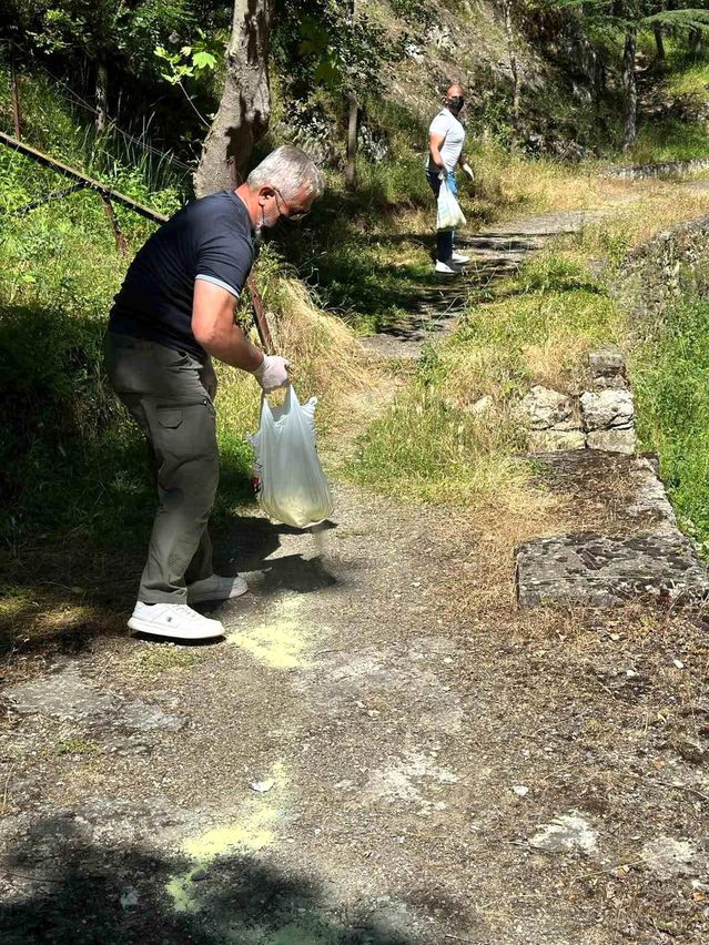 Bilecik'te piknik alanlarında ilaçlama çalışması gerçekleştirildi