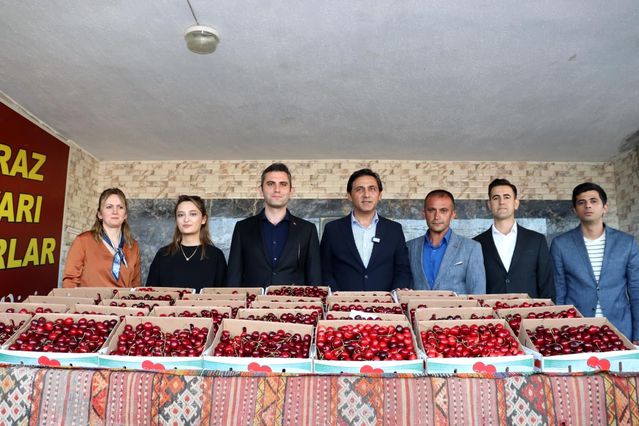 Manisa'nın Bereketli Topraklarında Çeyrek Asırlık Kırmızı Altın Kutlaması: Selendi Kiraz Festivali Coşkuya Sahne Oldu