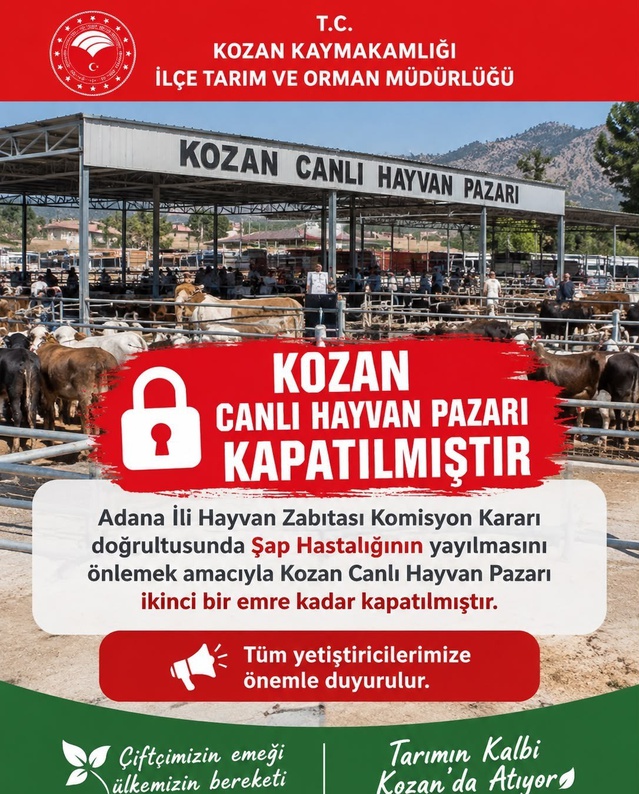 Kozan'daki canlı hayvan pazarı şap tedbiri kapsamında kapatıldı