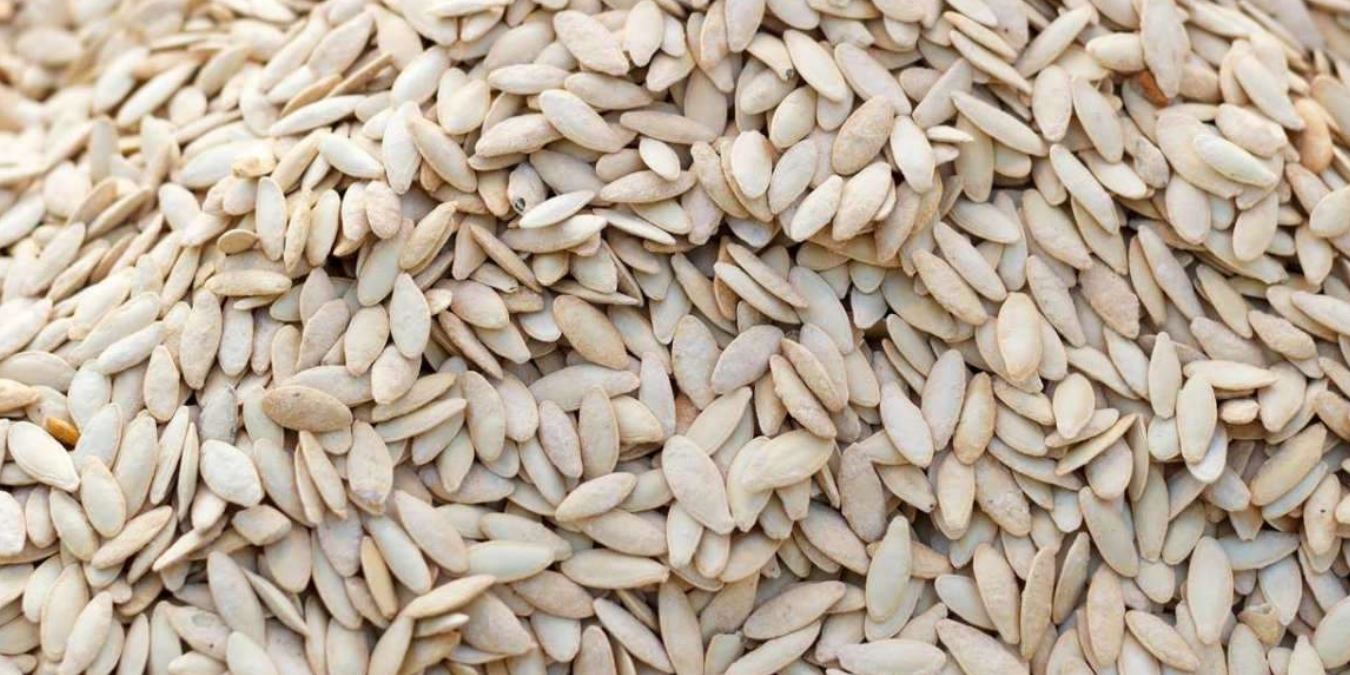 Rüyada Kabak Çekirdeği Görmek Ne Anlama Gelir?