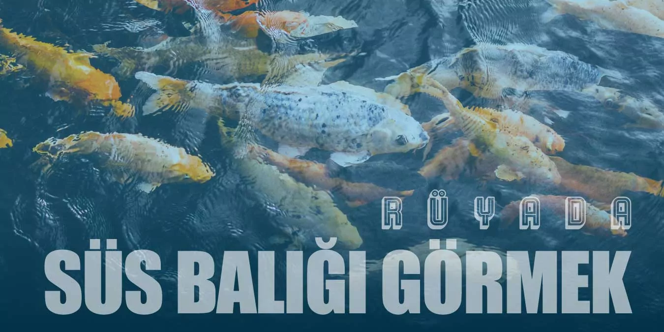 Süs Balığı Rüyalara Ne Anlatır? Rüya Tabirleri ve Yorumları